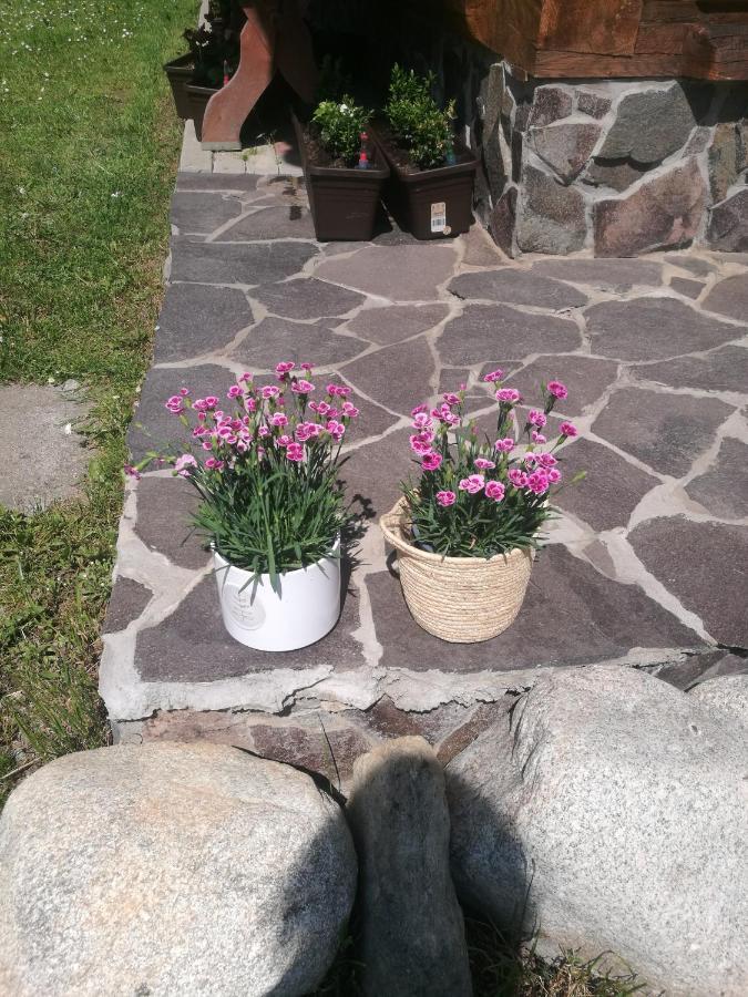 Drevenica Zapadne Tatry S Kupacou Kadou A Krbom Apartman Zsár Kültér fotó