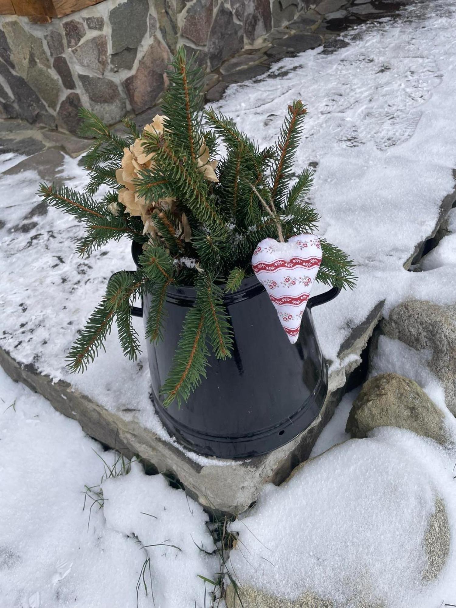 Drevenica Zapadne Tatry S Kupacou Kadou A Krbom Apartman Zsár Kültér fotó