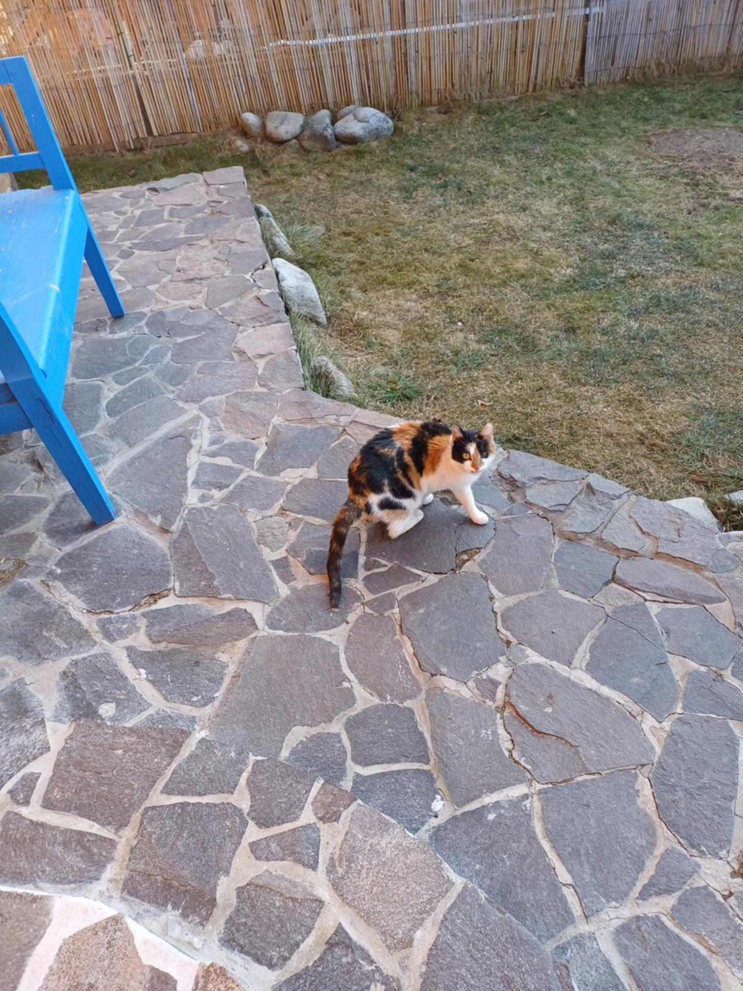 Drevenica Zapadne Tatry S Kupacou Kadou A Krbom Apartman Zsár Kültér fotó